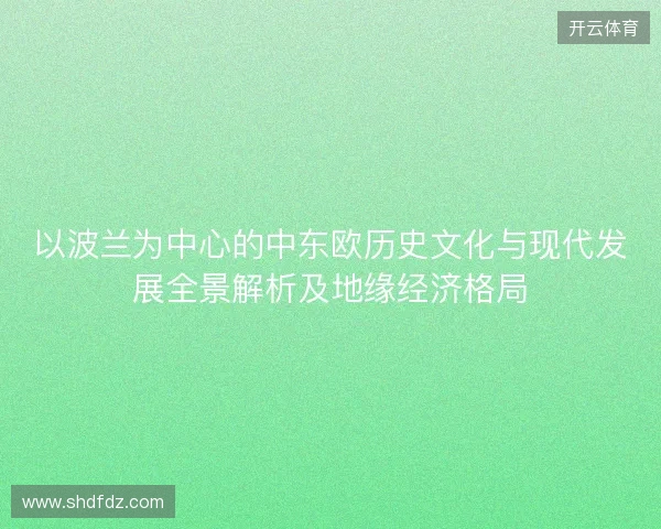 以波兰为中心的中东欧历史文化与现代发展全景解析及地缘经济格局