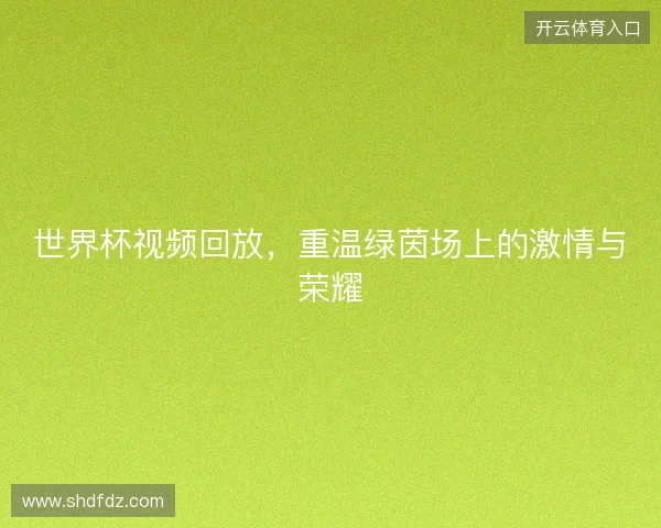 世界杯视频回放，重温绿茵场上的激情与荣耀